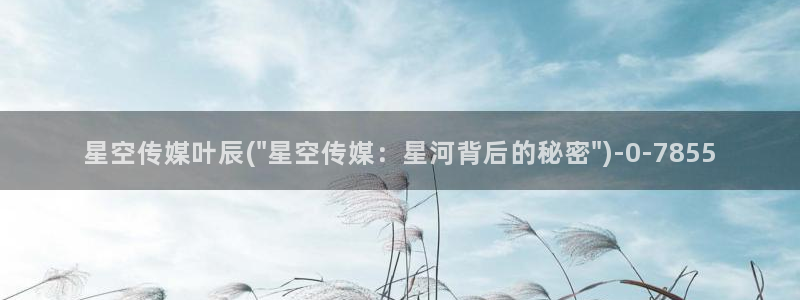 星空8115星空传媒：星空传媒叶辰(\