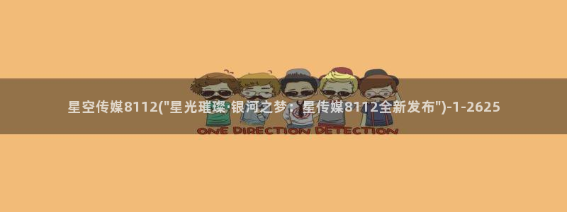 完美星空传媒收入