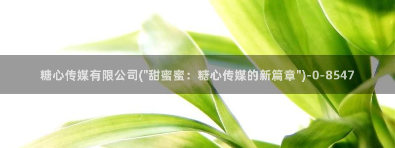 糖心vlog国产传媒入口