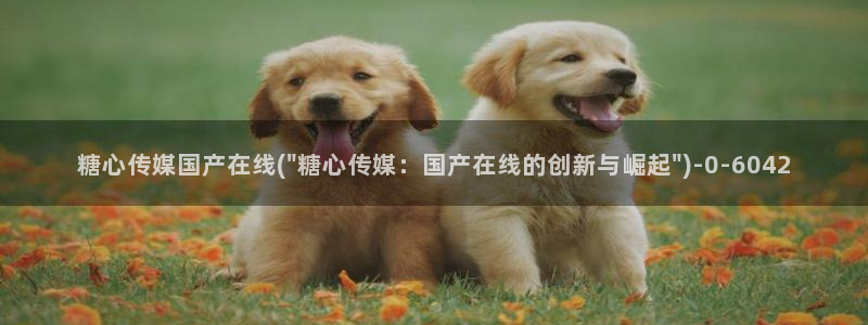 糖心vlog哪里下载