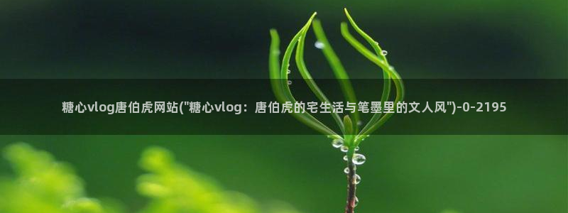 糖心vlog免费破解版
