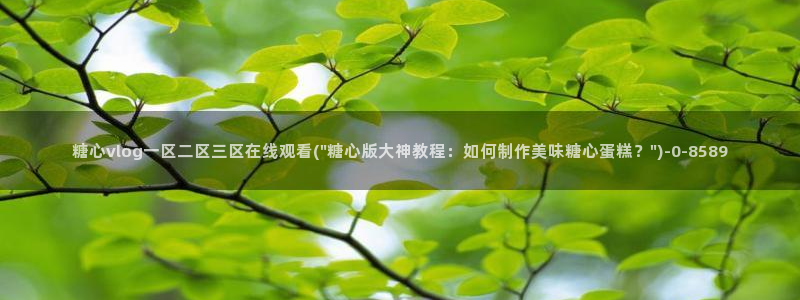 糖心vlog精产国品