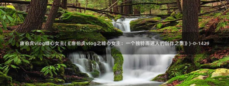 糖心vlog免费账号