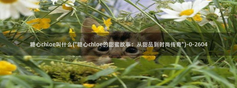心糖vlog入口