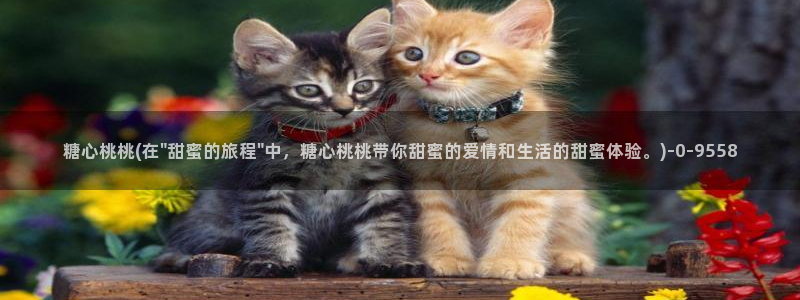 糖心vlog如何下载