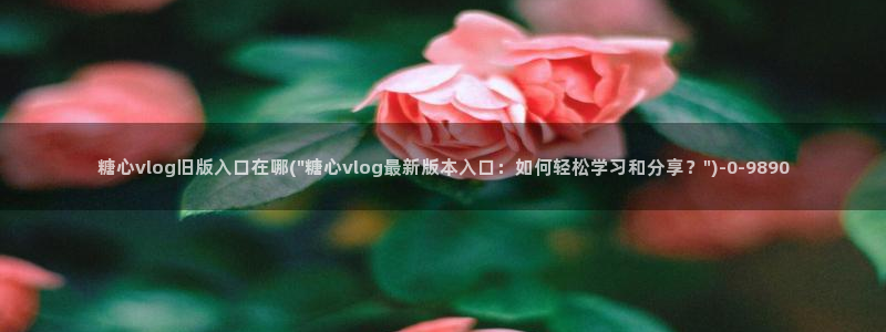 91糖心vlog下载