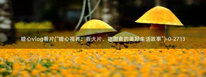 糖心vlog应用