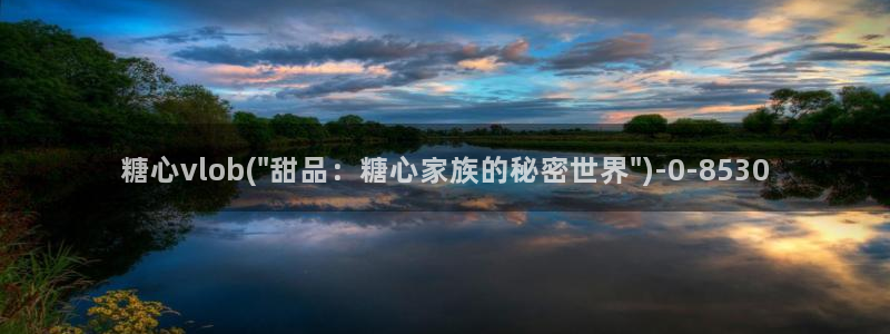 糖心vlog谁最好看